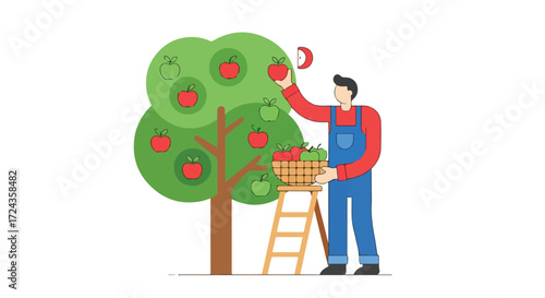 Harvest Time: A Cartoon Depiction of Apple Picking in an Orchard with a Farmer at Work picking Fresh Ripe Apples off the Tree