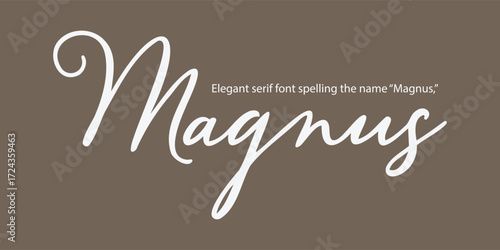 Elegant serif font spelling the name “Magnus,” a refined typeface designed for luxury branding, high-end logos, sophisticated editorial layouts, fashion identity, upscale packaging