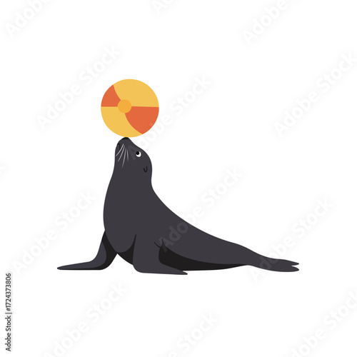 Cute sea lion balancing an orange and yellow beach ball on its nose