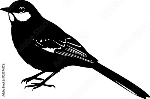 MOCKINGBIRD SILHOUETTE ON WHITE BACKGROUND
