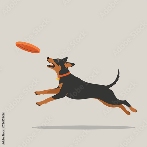 Dog catching frisbee