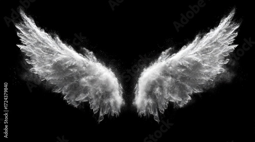 White Powder - Effect Wings on Black Background