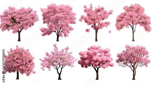 Collection of eight stylized pink flowering trees isolated on transparent background