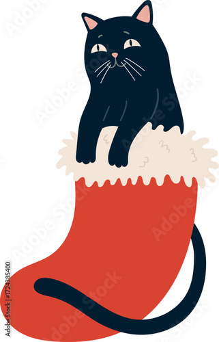 Black cat in a red Christmas stocking