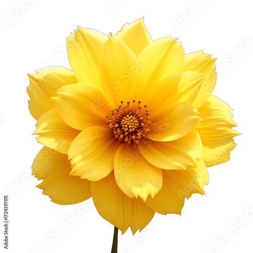 Radiant Yellow Flower a stunning yellow flower, showcasing its vibrant petals and intricate center. Perfect for floral design projects, nature themes, and decorative applications.