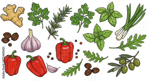 Assortment of Fresh Herbs and Spices for Culinary Use, Hand-Drawn Style