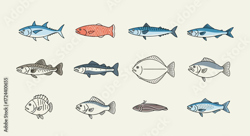 A collection of various stylized fish illustrations arranged in a grid pattern.