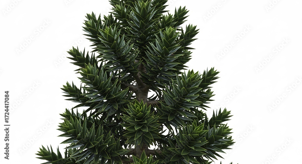 Obraz premium 緑豊か針葉樹 鮮やか緑葉 自然光輝く