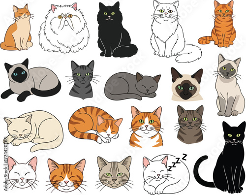 A collection of cartoon cats in various poses and colors displayed on a white background illustration