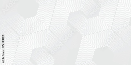 Hexagon white gray wave light technology texture background. Abstract big data digital concept simple. vector ilustration.