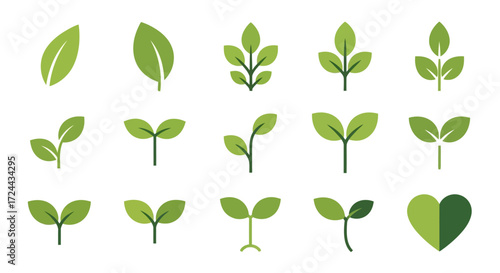 set of leaves