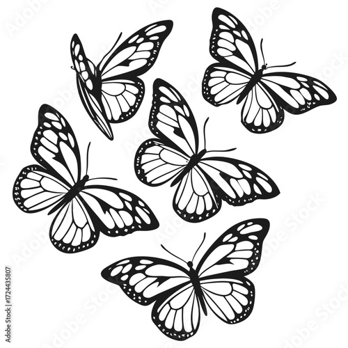 A collection of five black and white monarch butterflies in various flying poses creating a dynamic and elegant pattern against a clean white background