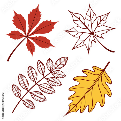 A collection of four stylized autumn leaves including a red horse chestnut leaf a red outline maple leaf a red outline rowan branch and a yellow oak leaf on a white background