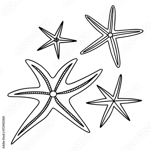 A collection of four hand drawn outline illustrations of starfish with varying numbers of arms and sizes on a white background