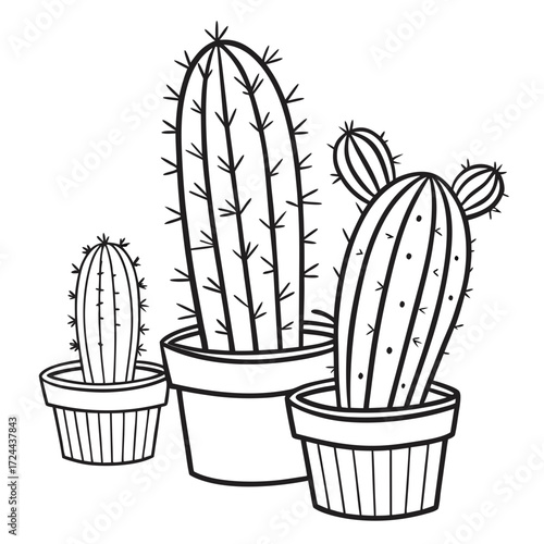 Three potted cacti of varying sizes and shapes depicted in a simple black and white line art illustration against a white background