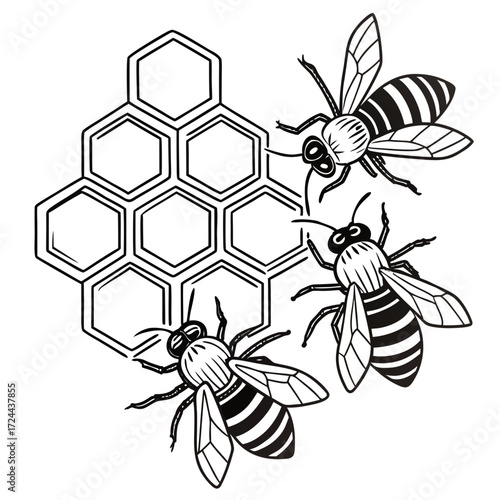 Three stylized black and white bees buzzing around a honeycomb structure representing nature insects and beekeeping in a clean graphic design