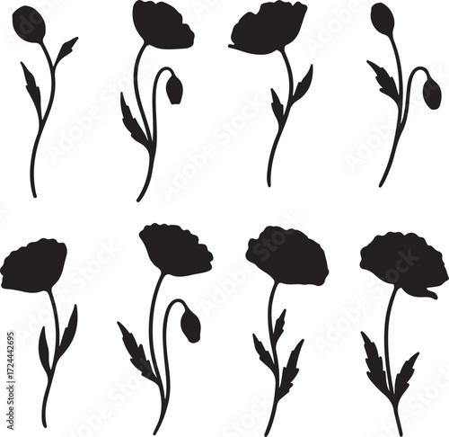 Poppy Silhouette Collection: A collection of stylized poppy silhouettes showcases the delicate beauty and varied stages of bloom, perfect for evoking a sense of nature's grace and simplicity.