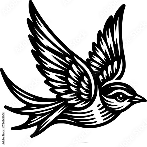 Elegant sparrow bird vector design with wings illustration 