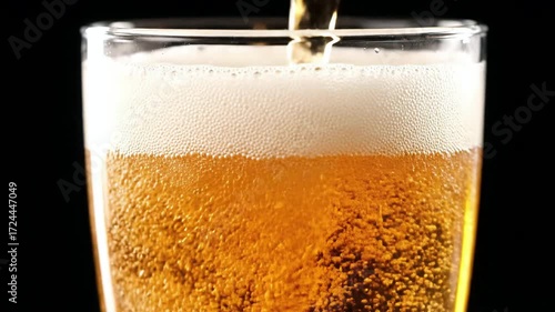 Wallpaper Mural A refreshing golden lager beer is poured into a clear pint glass creating a perfect white foam head with bubbles rising against a clean black background. Torontodigital.ca