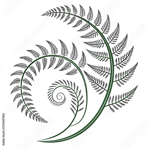 A stylized green fern frond unfurling in a spiral pattern showcasing intricate leaf details against a clean white background representing growth and nature s beauty