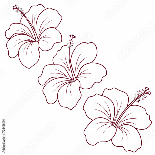 Three stylized hibiscus flowers with dark red outlines on a white background arranged diagonally perfect for summer or tropical designs