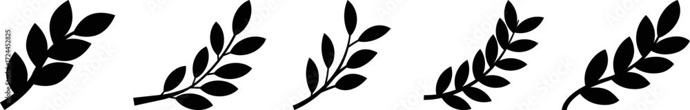 Fototapeta premium Leaf Branch Silhouette Vector Set – Decorative Foliage Clipart Design Elements