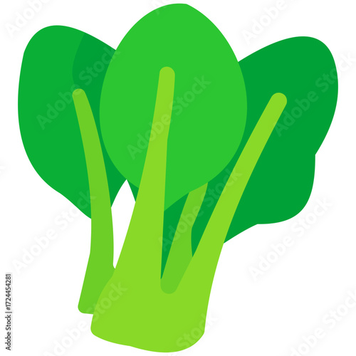 Fresh bok choy illustration, perfect for Asian cuisine menu, soup recipe design, healthy vegetable dish, and farm product poster.
