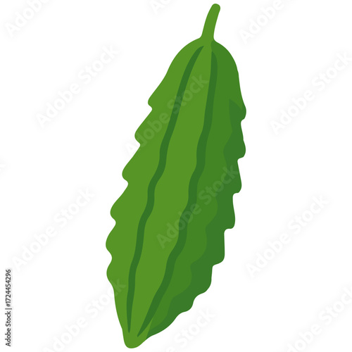 Bitter melon illustration with ridged texture, perfect for healthy food poster, recipe design, farm fresh vegetable, and nutrition concept.

