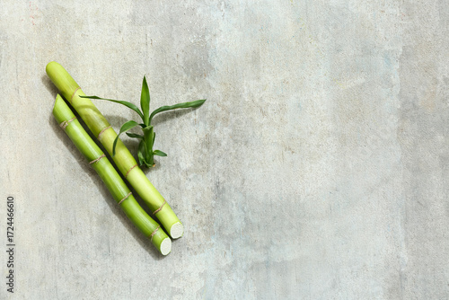 Green bamboo stems on grung...