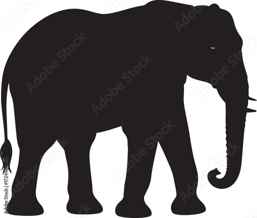  Safari Elephant Silhouette Vector Illustration