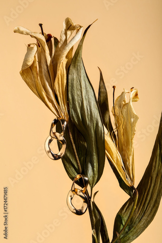 Dried flower with beautiful...