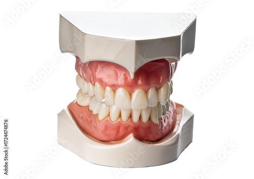 Teeth prosthesis protocol on transparent or white background