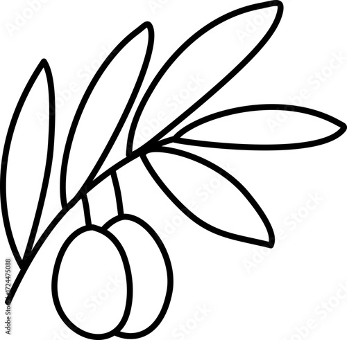 Olive Branch with Olives. Simple Outline Olive/Zaitun Coloring Page