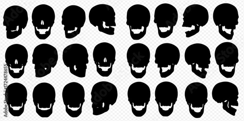 A collection of twenty-four skull silhouettes, shown in various angles and positions.