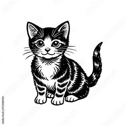 a cute cat
