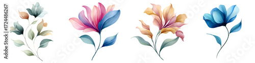 Watercolor Floral Illustrations Set - Various Colorful Flowers Isolated