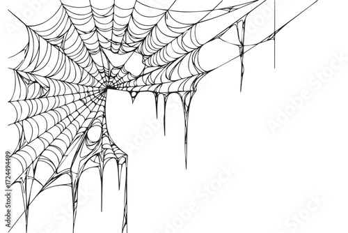 Detailed black and white illustration of a spider web with dew drops