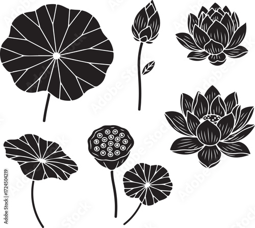 Serene Lotus Arrangement: An elegant illustration captures the essence of tranquility, showcasing lotus blossoms in varying stages of bloom, with intricate details and graceful lines.