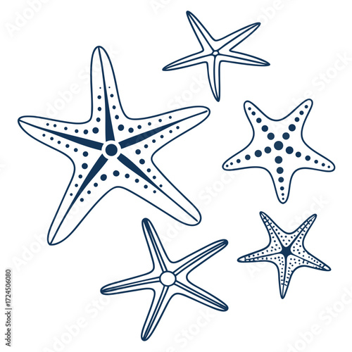 A collection of five stylized navy blue starfish illustrations with varying dot patterns and line details on a clean white background