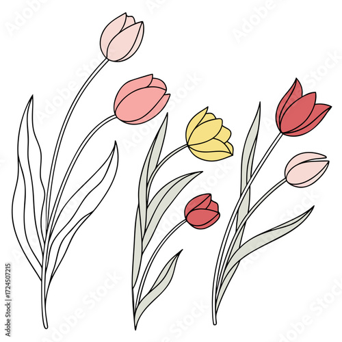A delicate illustration of blooming tulips in various pastel colors and outlines set against a clean white background evoking a sense of spring and natural beauty