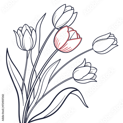 A delicate line art illustration of a bouquet of tulips with one flower highlighted in red symbolizing individuality and focus on a white background