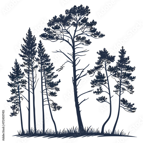A dark silhouette of a cluster of tall pine trees with detailed branches and needles standing against a white background with a grassy foreground