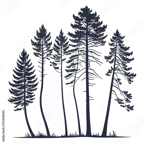 A striking silhouette of a cluster of tall pine trees with intricate branches and needles standing against a clean white background evoking a sense of nature and wilderness