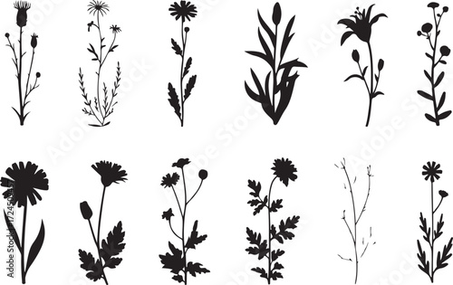Collection of delicate botanical silhouettes of various wildflowers and plants