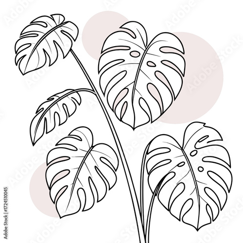 Minimalist line art illustration of a monstera plant with fenestrated leaves and soft blush pink circles in the background perfect for modern decor