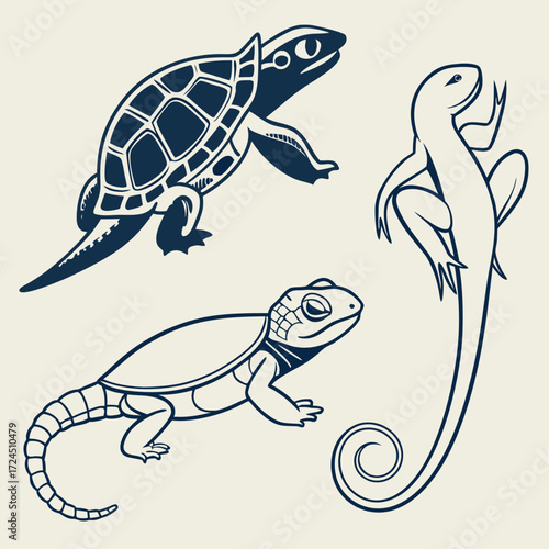 Stylized graphic illustration of a sea turtle and two lizards in navy blue outline on a cream background representing marine and terrestrial reptiles