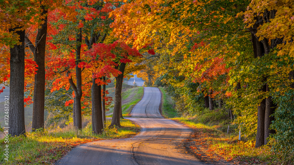 Fototapeta premium Scenic autumn road winding through colorful trees in the countryside landscape