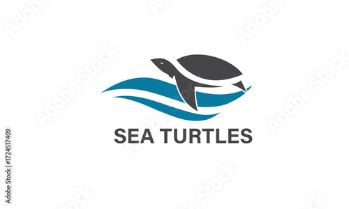 Sea turtles