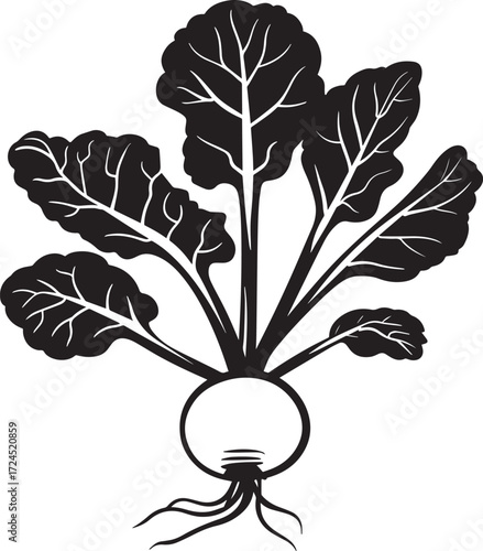 Kohlrabi clean simple silhouette