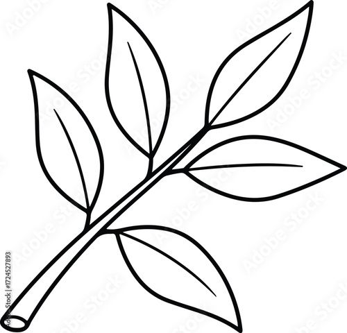 Vector Leaf branch with leaves outline minimalistic illustration silhouette design